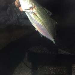 アジングからの村人達