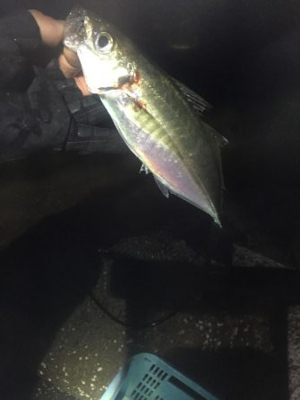 アジングからの村人達