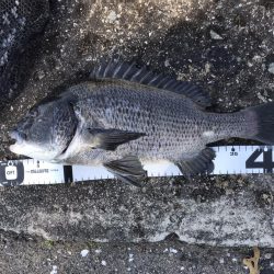 イチノ兄弟、釣果！