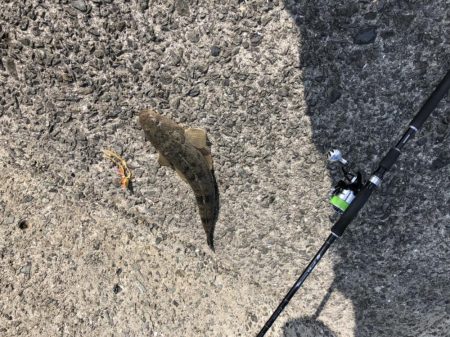 ショアタイラバ