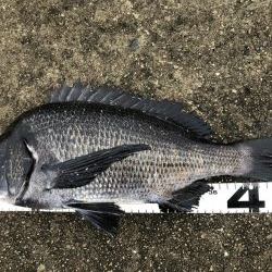 イチノ兄弟、釣果！