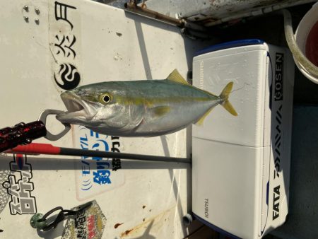 年末最後のジギング