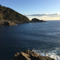 ショアジギングと根魚釣り