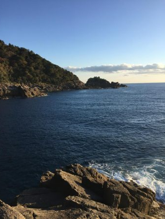 ショアジギングと根魚釣り
