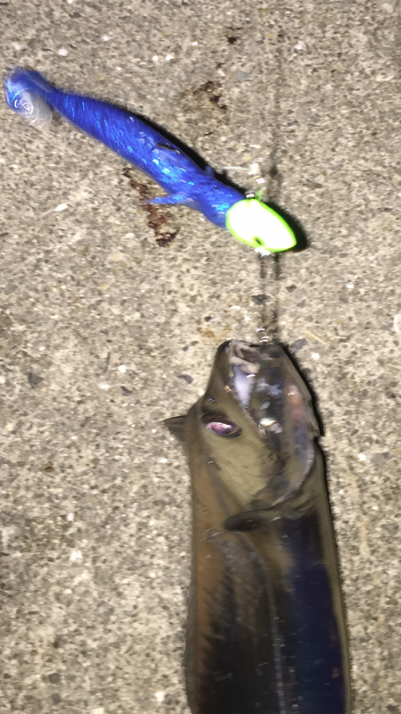 タチウオ昇竜拳