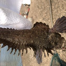 今年最後の水道釣り