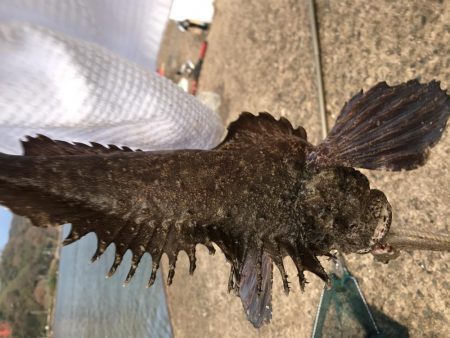 今年最後の水道釣り