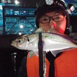 釣り納めのボートアジング