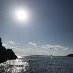 やっと会えたな！タマン！