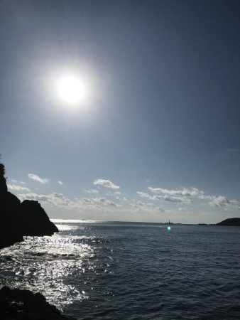 やっと会えたな！タマン！