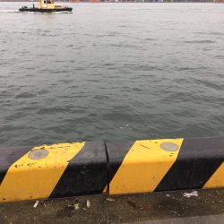 湾奥久々の一匹