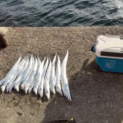 今朝も寒い中タチウオ狙い