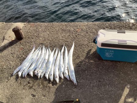 今朝も寒い中タチウオ狙い