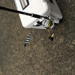 大雨の中貴重な１本