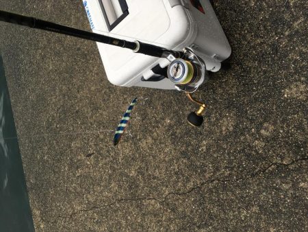 大雨の中貴重な１本