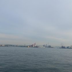 サイズはデカイな