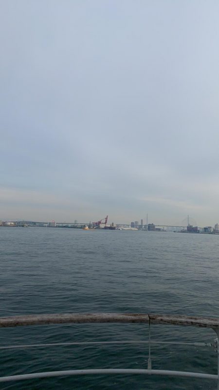 サイズはデカイな