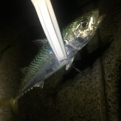 今年の年末調整１日目