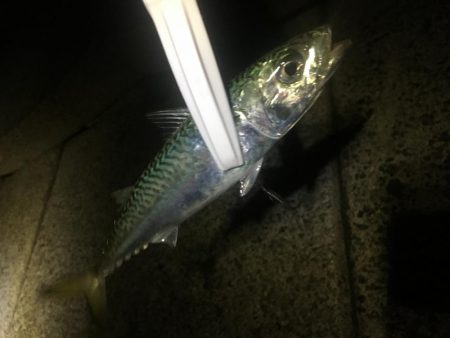 今年の年末調整１日目