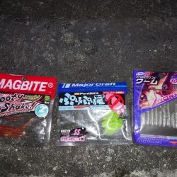 ワームを交換する事で何とか7尾ゲット出来ました。