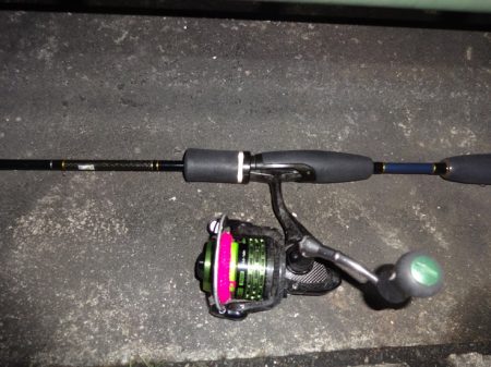 久し振りの中アジゲット!