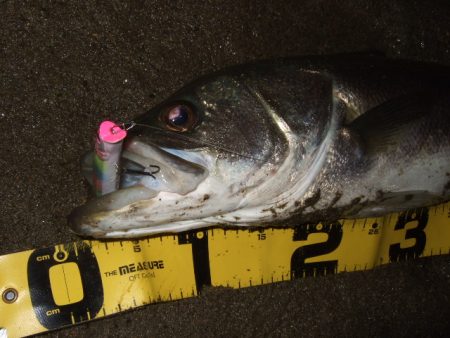 秋のハイシーズンは終了