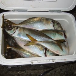 ライトゲームを満喫