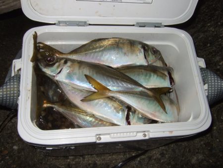 ライトゲームを満喫