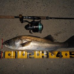 開始早々から連続ヒット♪