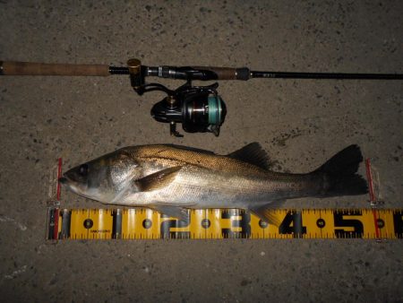 開始早々から連続ヒット♪