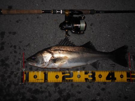 やっぱりソリッドクリアが効く？