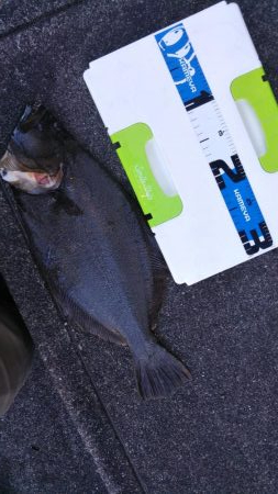 最近は調子が良すぎ