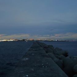 引き続きアジ好調です!