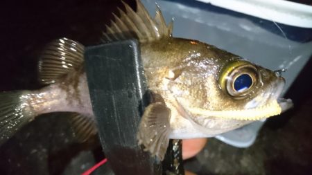 そろそろ終わり？