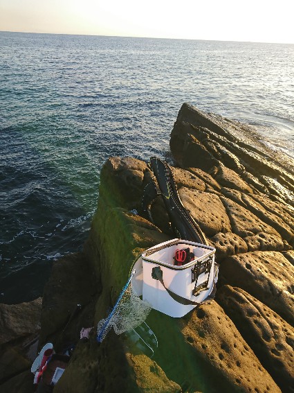 太地でグレ釣り