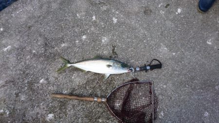 ショアジギング