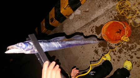 狙いはメガアジ、タッチー