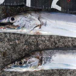 黙ってセットアッパー投げとけ！