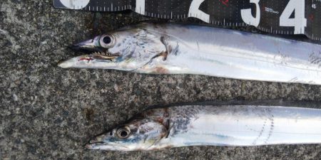 黙ってセットアッパー投げとけ！