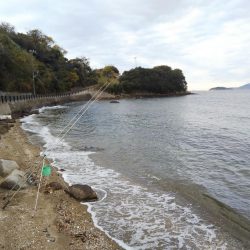 今日は当たり少ない⁉️