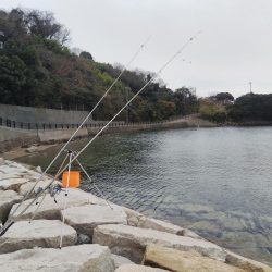 キス狙いの釣行