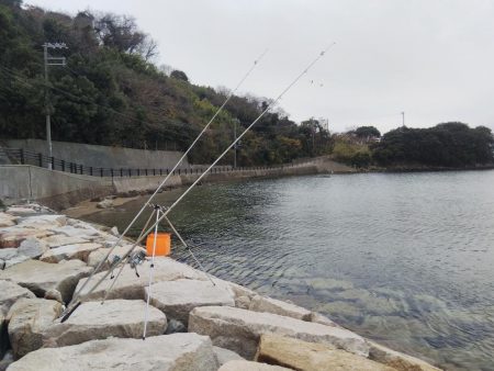キス狙いの釣行