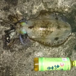 久しぶりの遠征