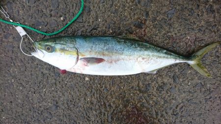 そろそろ終わりなのか