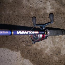 タチウオ最終盤