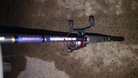 タチウオ最終盤