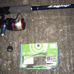 ぶらシーバス！！