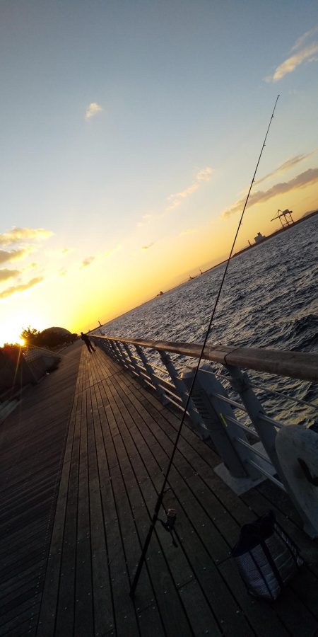 シケで激渋ノマセ