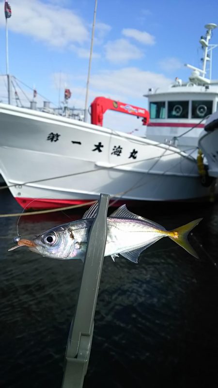 アジ釣り