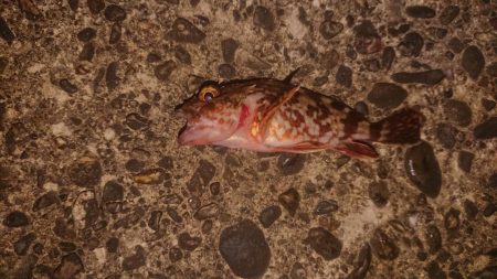 ガシラデパート